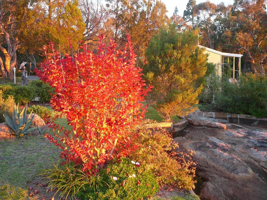 31 The Rocks Stanthorpe Exterior foto