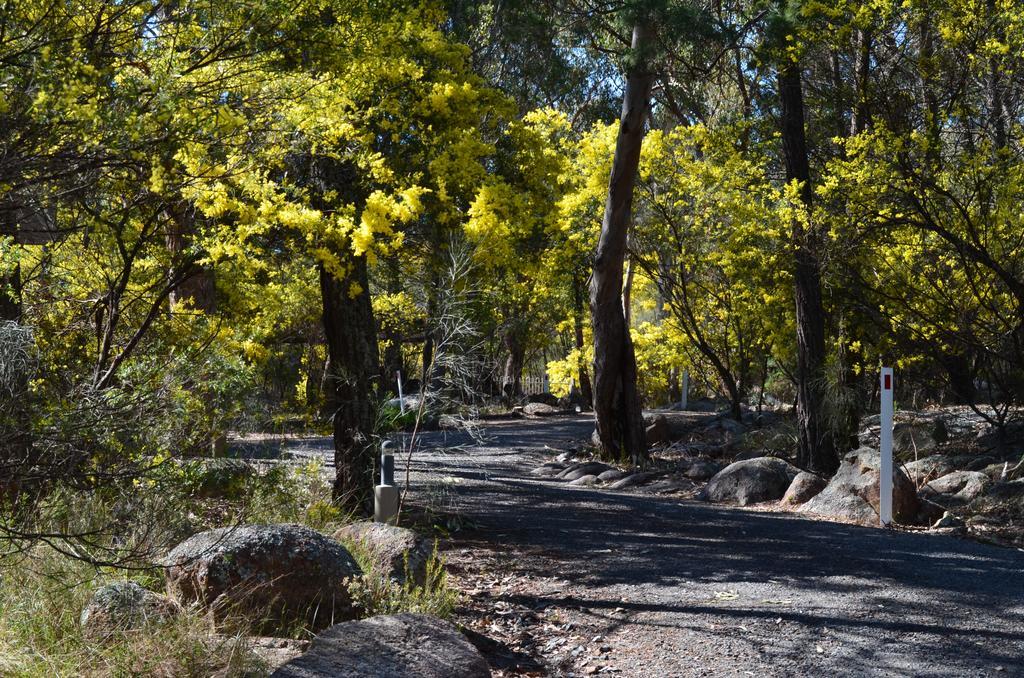 31 The Rocks Stanthorpe Exterior foto