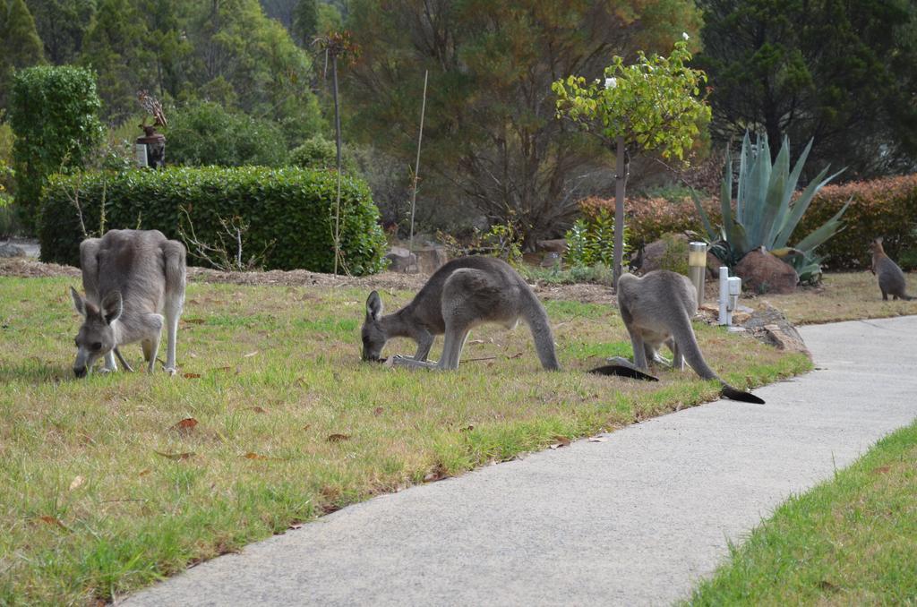 31 The Rocks Stanthorpe Exterior foto