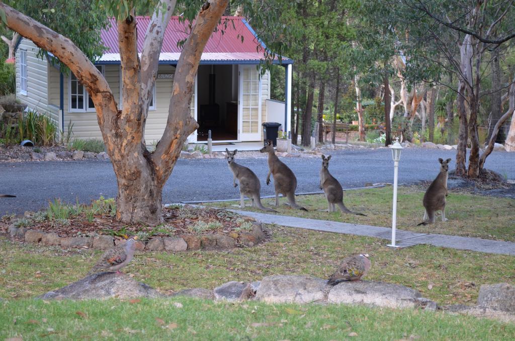 31 The Rocks Stanthorpe Exterior foto
